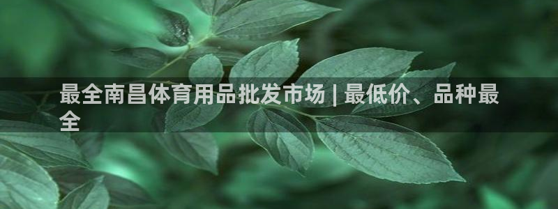 欧陆娱乐登录平台下载:最全南昌体育用品批发市场 | 最低价、