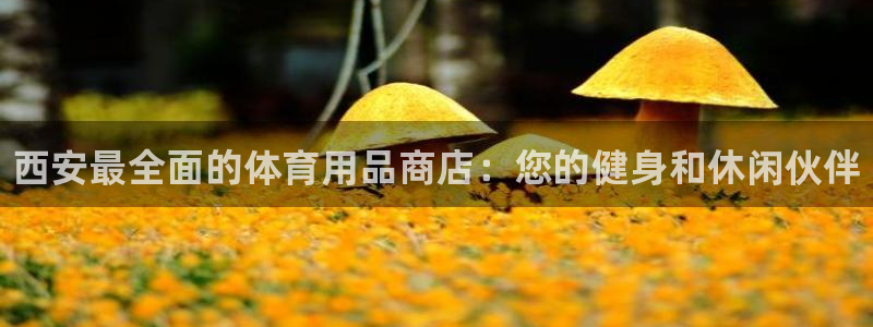 欧陆娱乐怎么注册:西安最全面的体育用品商店:您的健身和休闲伙
