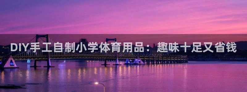 欧陆娱乐会员有什么用:DIY手工自制小学体育用品:趣味十足又