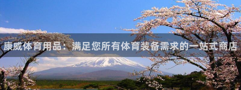 欧陆娱乐挂机项目怎么设置:康威体育用品:满足您所有体育装备需