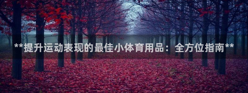 欧陆娱乐登录平台:**提升运动表现的最佳小体育用品:全方位指