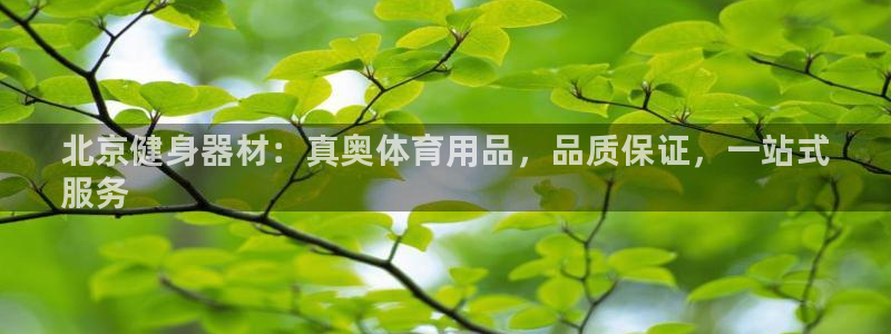 欧陆娱乐app攻略:北京健身器材:真奥体育用品,品质保证,一
