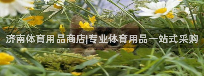 欧陆娱乐客服服务怎么样:济南体育用品商店|专业体育用品一站式